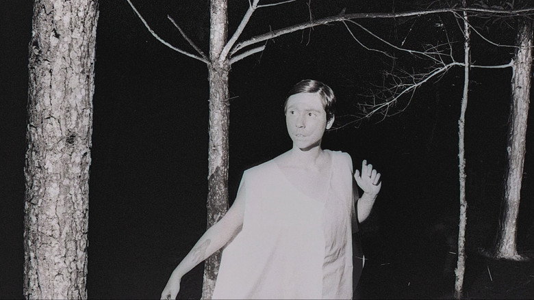 A Sentença still 7