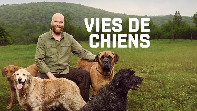 Vies de chiens still 2