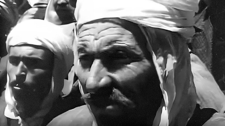 Our Algeria still 1