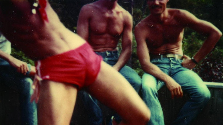 Gay Sex in the 70s still 2