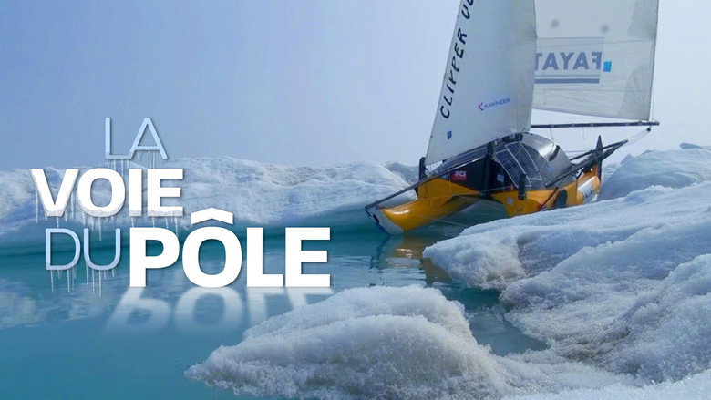 Sailing the North Pole still 1