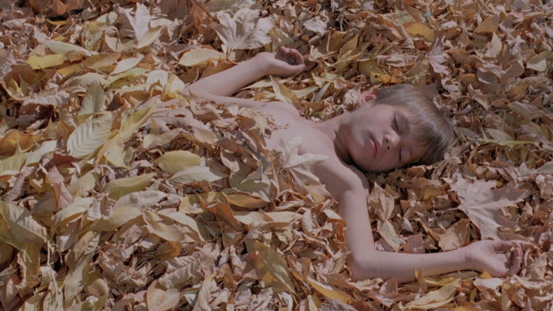 The Silence still 8