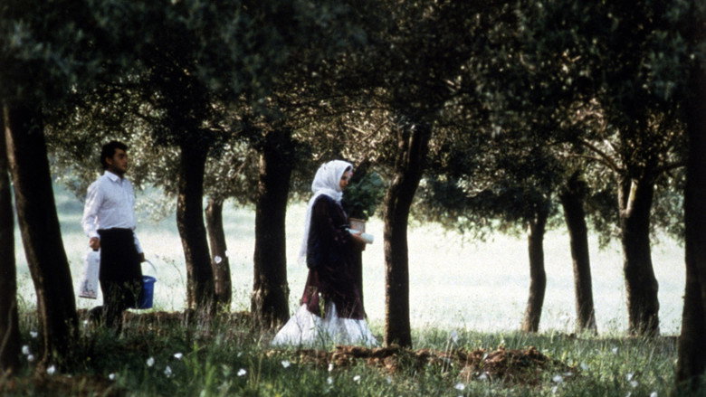 Through the Olive Trees still 4
