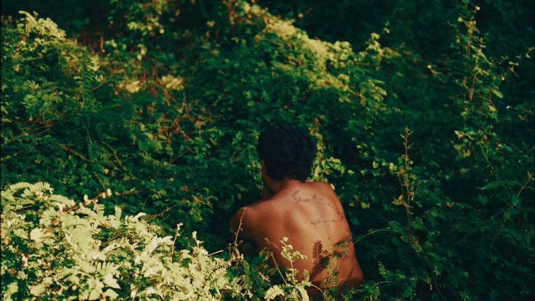 Her Yard still 3