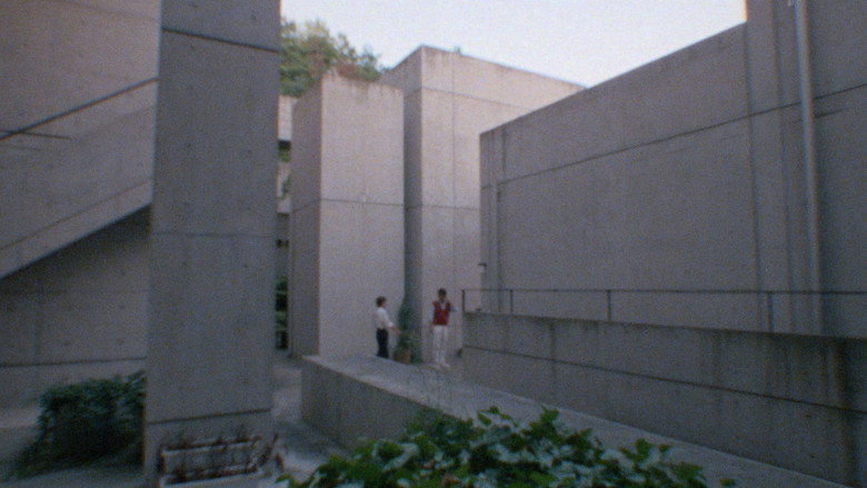 Tadao Ando still 1