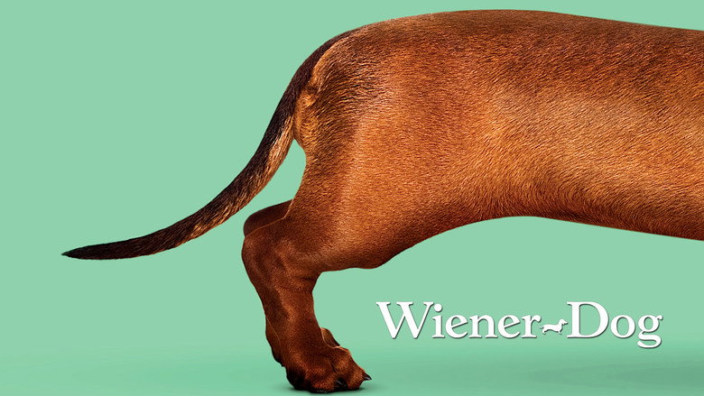 Wiener-Dog still 1