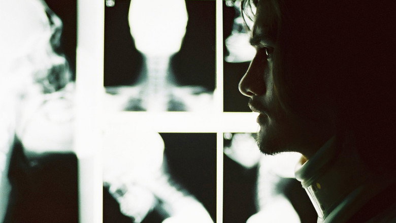 Shutter still 5