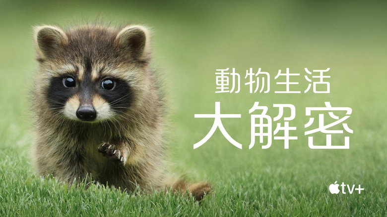 The Secret Lives of Animals still 3