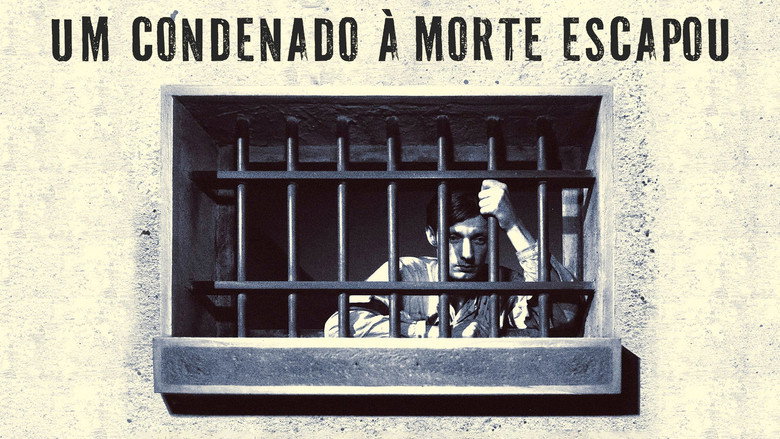 A Man Escaped still 4