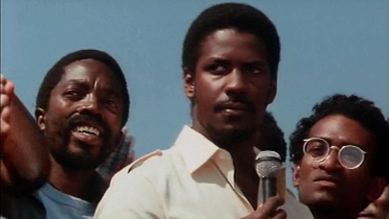 Cry Freedom still 2
