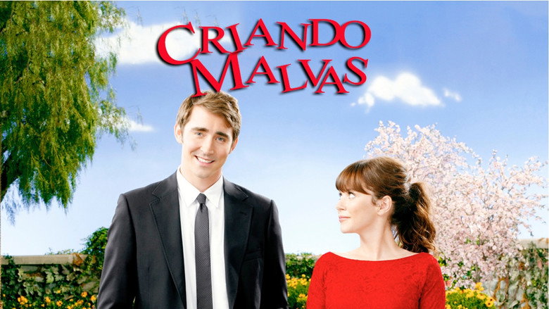 Pushing Daisies still 7