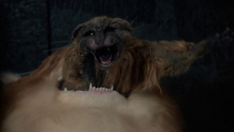 Uninvited still 1