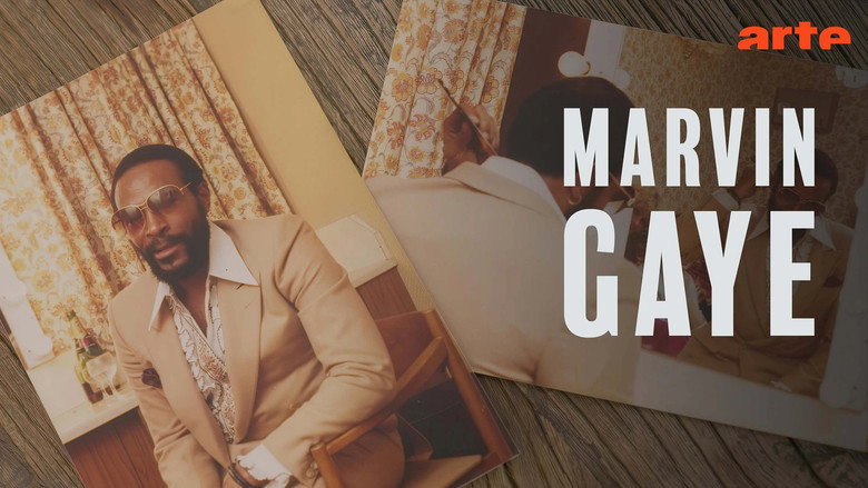 Marvin Gaye - Visionär des Soul still 5