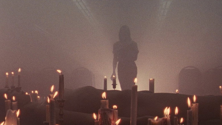 Luz still 2