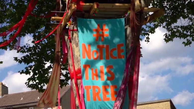 The Happy Man Tree still 1