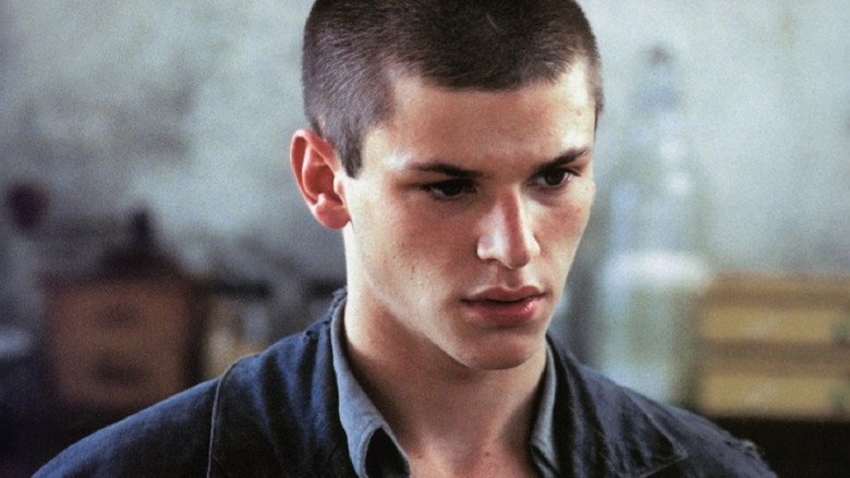 Strayed still 7