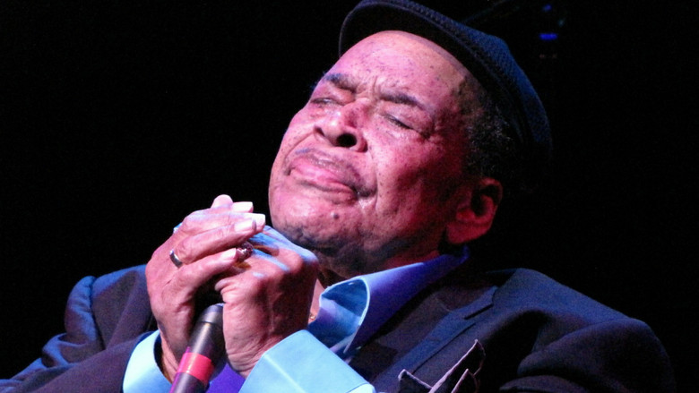 Bonnie Blue: James Cotton's Life in the Blues still 1