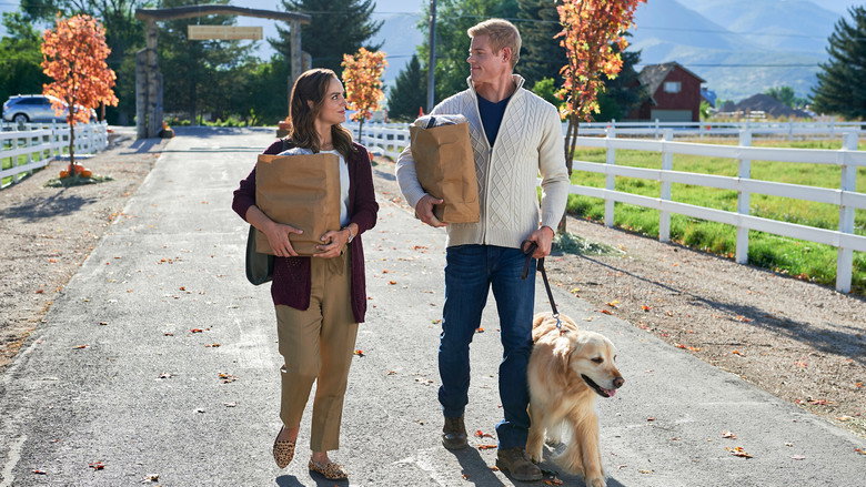 Love, Fall & Order still 2