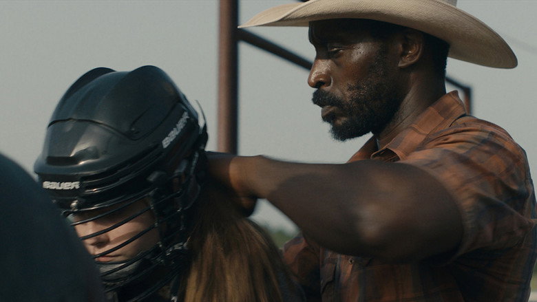 Bull still 2