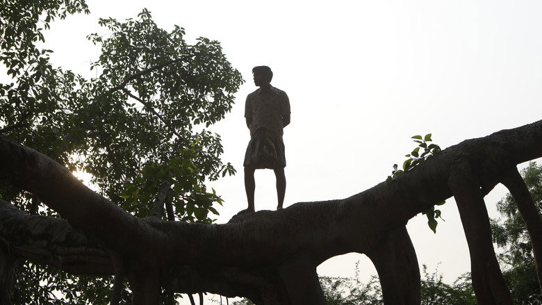Bison Kaalamaadan still 3