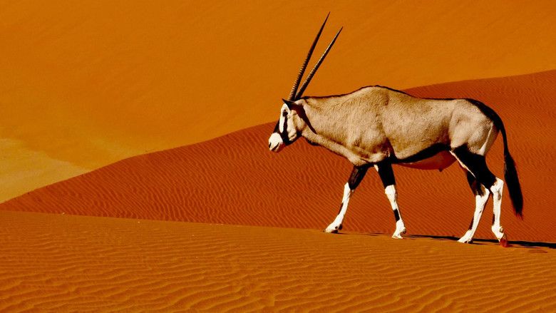 Namibia’s Natural Wonders still 1