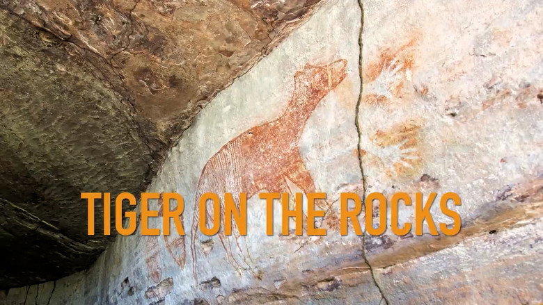 Tiger on the Rocks still 1