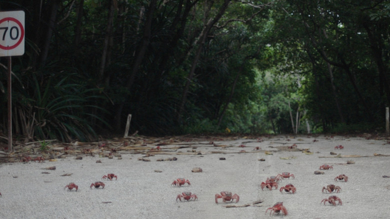 Island of the Hungry Ghosts still 5