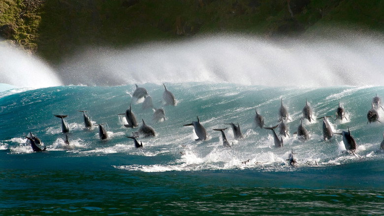 Blue Planet II still 4