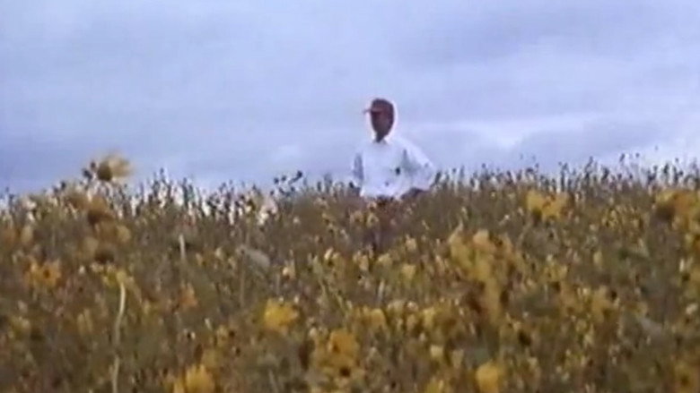 In Search of Oz still 1