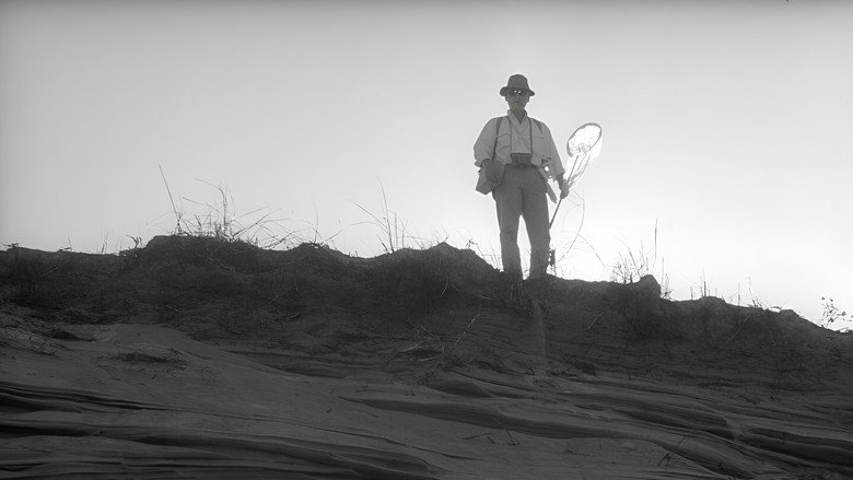 Woman in the Dunes still 4