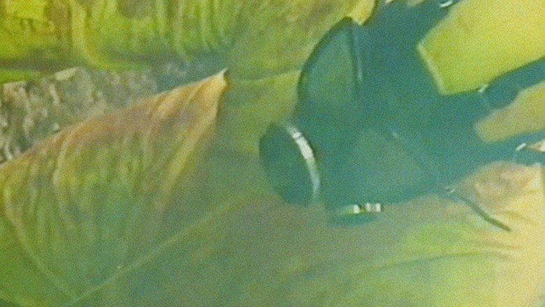 Bonkey: The Mutated still 5
