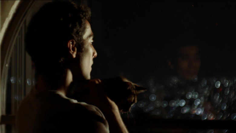 Anemoia still 8