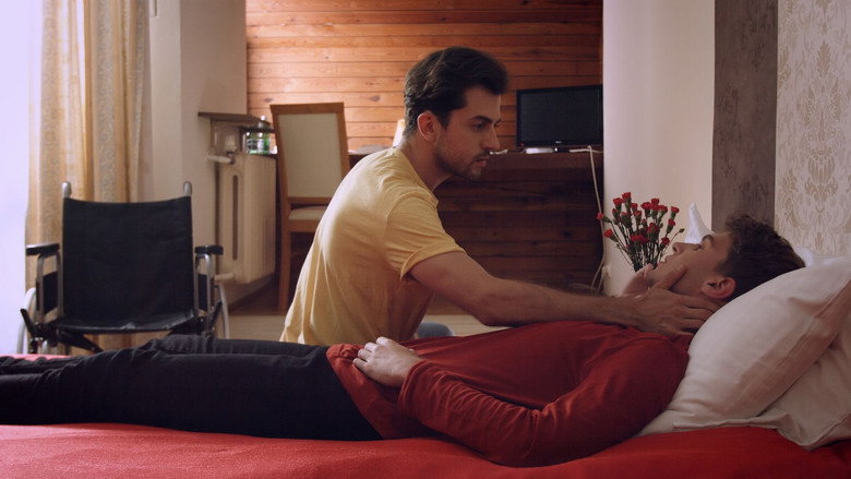 Red Yellow Pink still 2