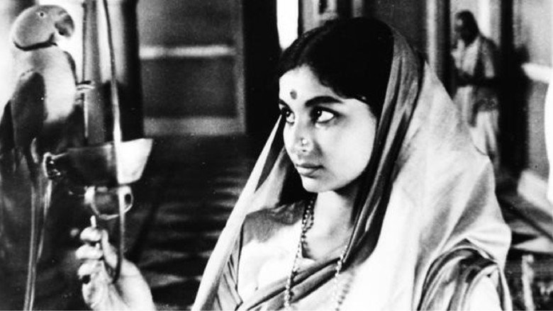 Devi still 5