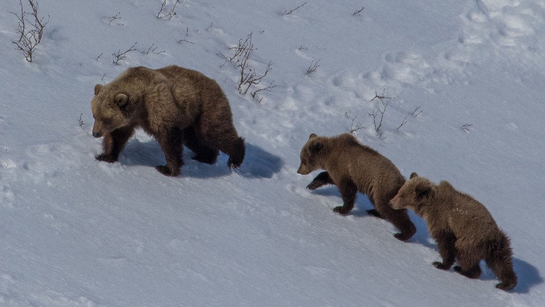 Russia's Wild Sea still 2