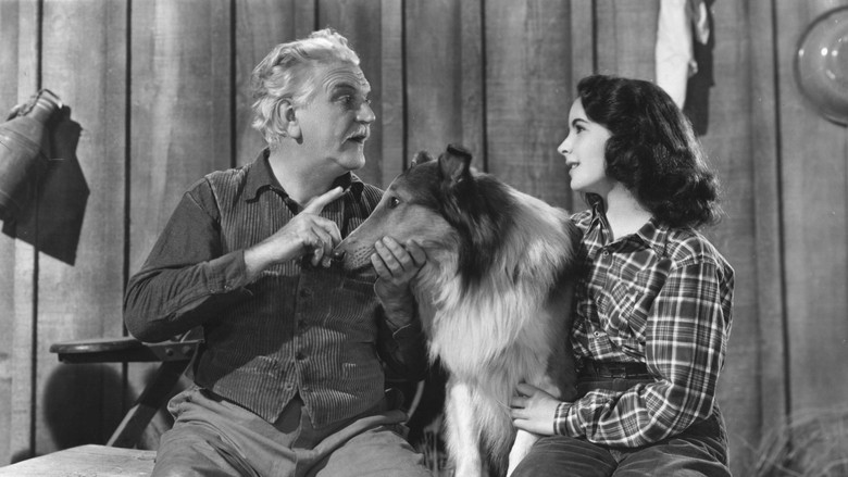 Courage of Lassie still 4