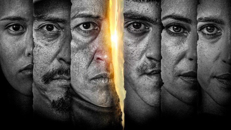 Somos. still 3