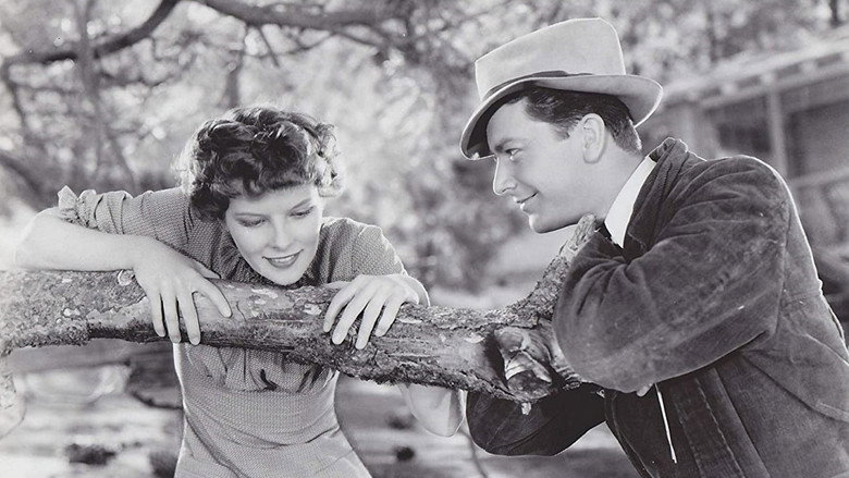 Spitfire still 2