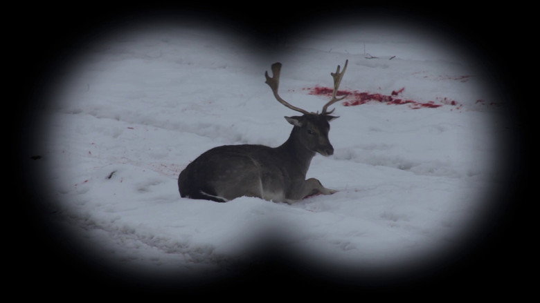 Long Live Hunting! still 1