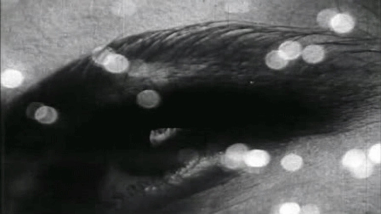 Triptych on Matter and Death still 1