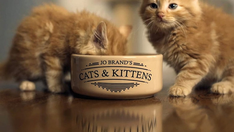 Jo Brand's Cats & Kittens still 1