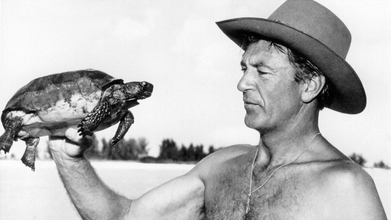 Irrésistible Gary Cooper still 2