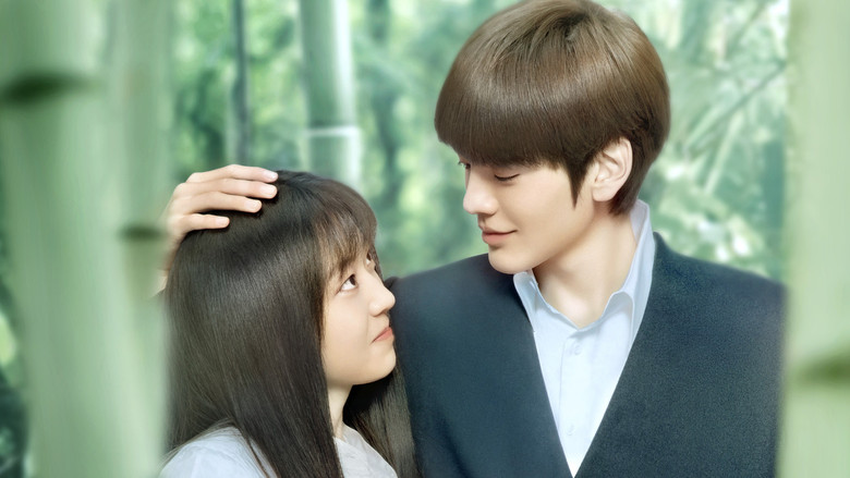 Sweet Tai Chi still 2