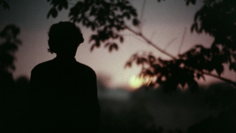 Pokkuveyil still 5