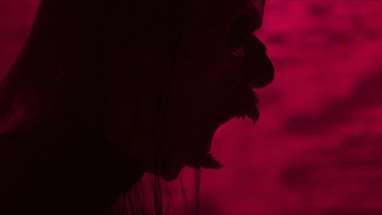 Parasomnia still 8