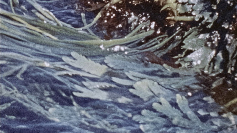 Waves still 1