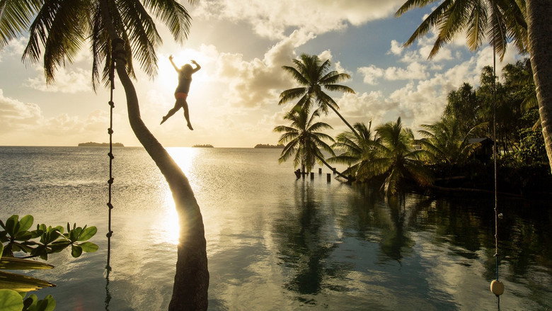 Ocean Paradise still 2