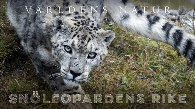 The Frozen Kingdom of the Snow Leopard still 4