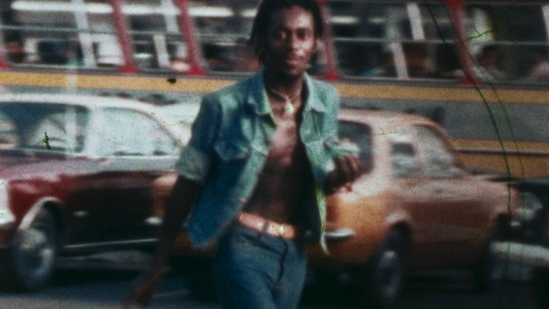 Luiz Melodia - Within the Heart of Brazil still 1