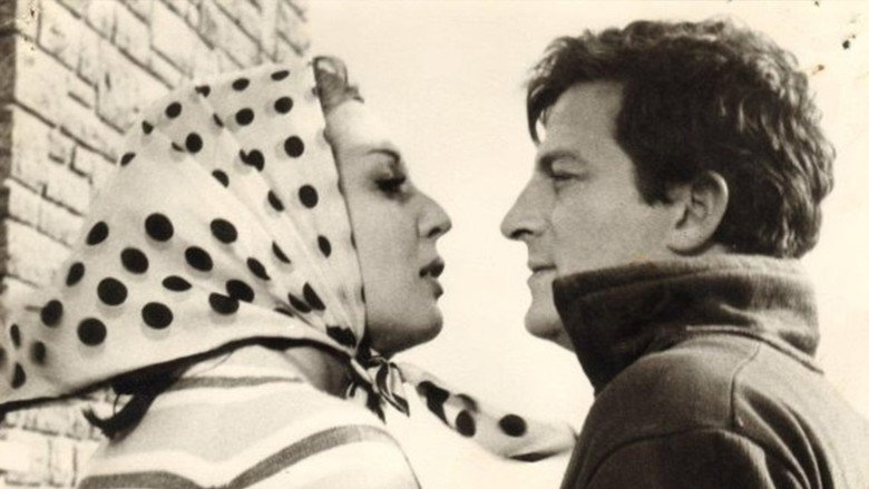 Dişi Örümcek still 4